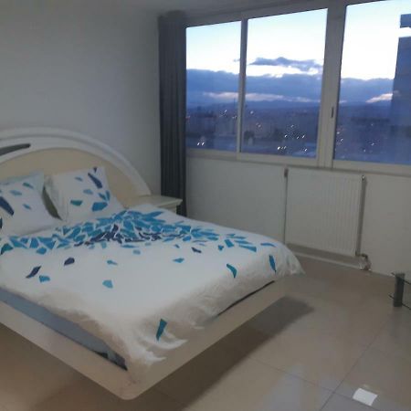 Appartement Laurent Bonnevay ビユールバンヌ エクステリア 写真