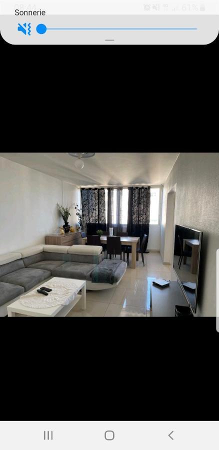 Appartement Laurent Bonnevay ビユールバンヌ エクステリア 写真